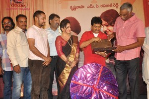 Anushtanam Movie Audio Launch